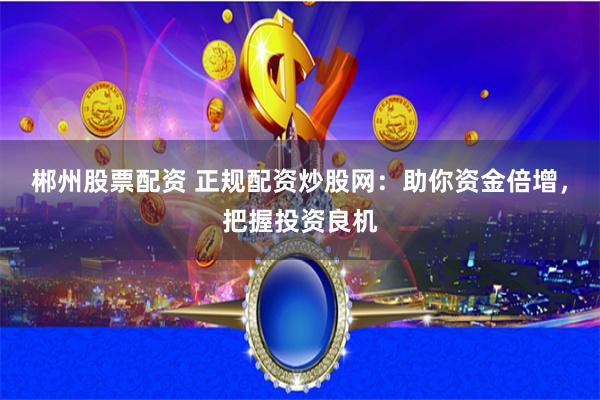 郴州股票配资 正规配资炒股网：助你资金倍增，把握投资良机